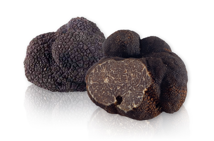 French Perigord Truffles Assorted Sizes The Grocer