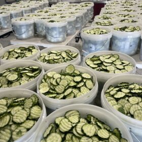 Pickled Crinkle Cut Dill Cucumbers 10Kg