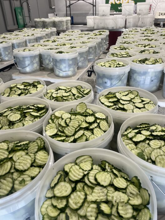 Pickled Crinkle Cut Dill Cucumbers 10Kg